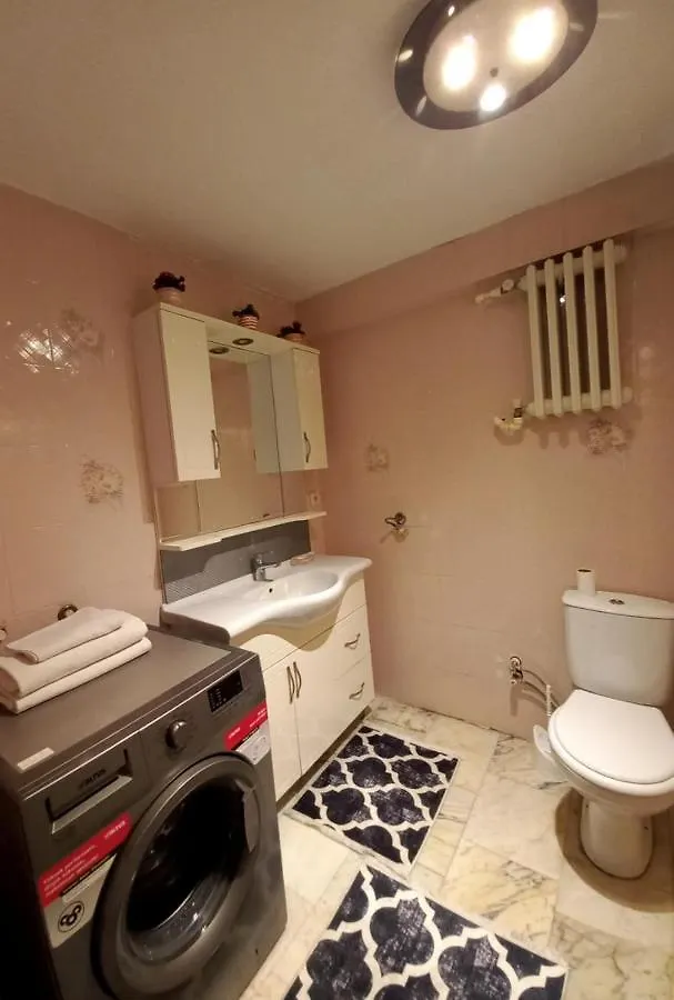 Appartement 1Er Etage Ortakoey No 3 Provincia di Provincia di Istanbul Appartamento